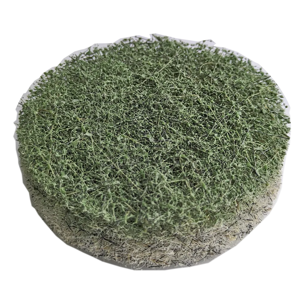 3" DIAMOND BURNISHING PAD, 3000 Grit