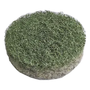 3" DIAMOND BURNISHING PAD, 3000 Grit